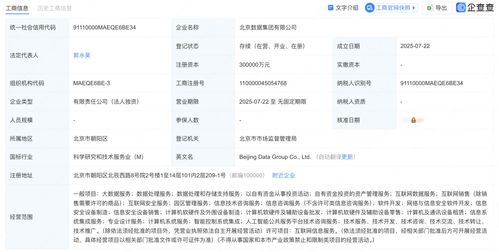 北京數(shù)據(jù)集團(tuán)正式揭牌成立，為數(shù)據(jù)處理服務(wù)注入新動(dòng)力